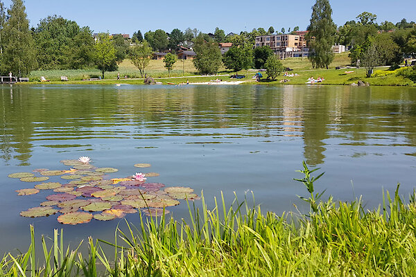 Badeweiher in Neuschönau Bayerischer Wald